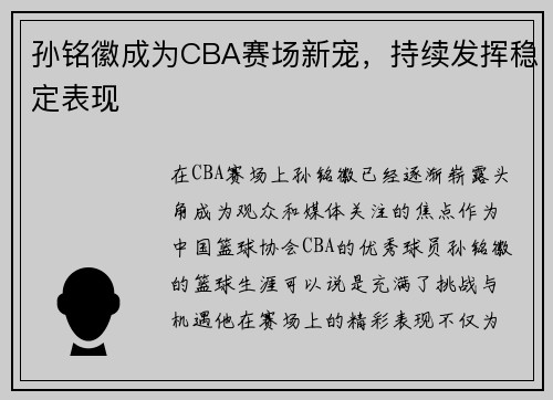 孙铭徽成为CBA赛场新宠，持续发挥稳定表现